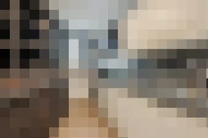 Honingklaver 8 Valkenburg thumbnail 15