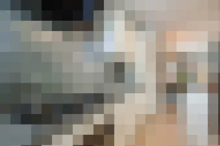 Honingklaver 8 Valkenburg thumbnail 16