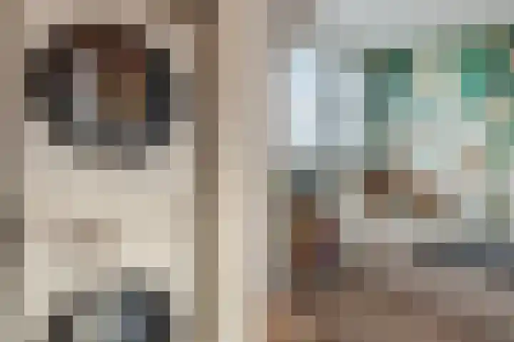 Honingklaver 8 Valkenburg thumbnail 24
