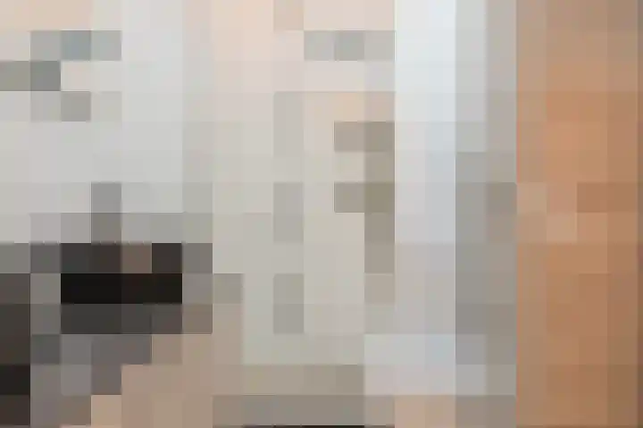 Honingklaver 8 Valkenburg thumbnail 25