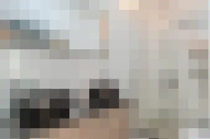 Honingklaver 8 Valkenburg thumbnail 26
