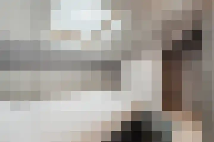 Honingklaver 8 Valkenburg thumbnail 30