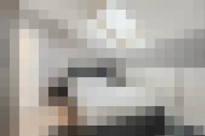 Honingklaver 8 Valkenburg thumbnail 31