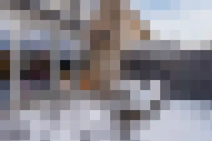Honingklaver 8 Valkenburg thumbnail 38
