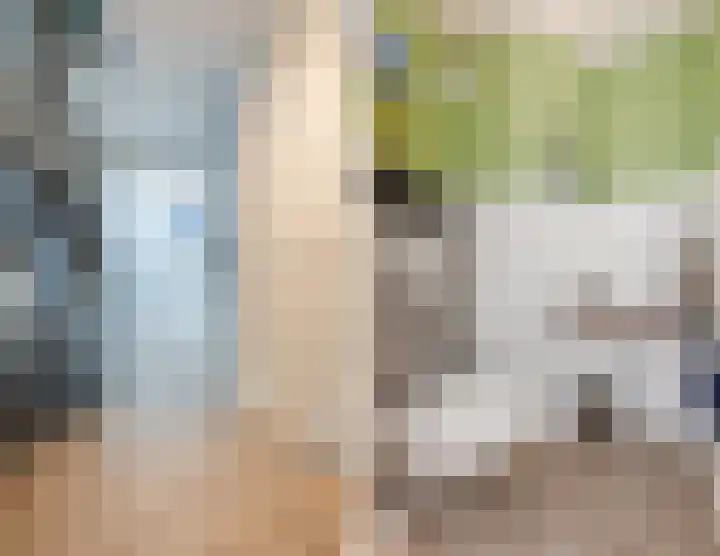 Honingklaver 8 Valkenburg thumbnail 4