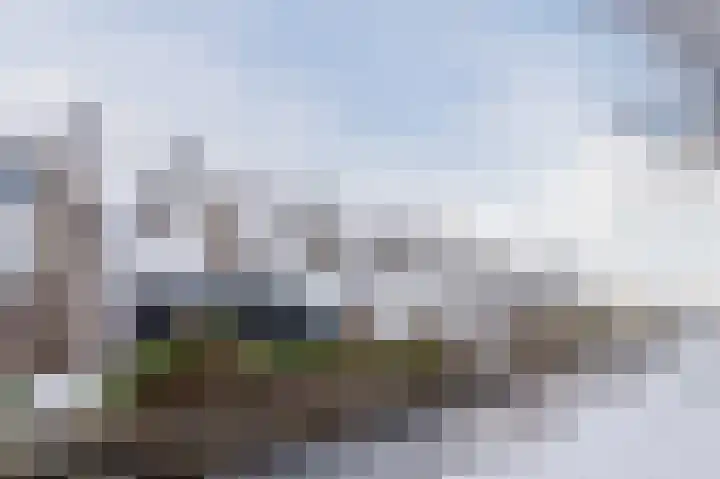 Honingklaver 8 Valkenburg thumbnail 43