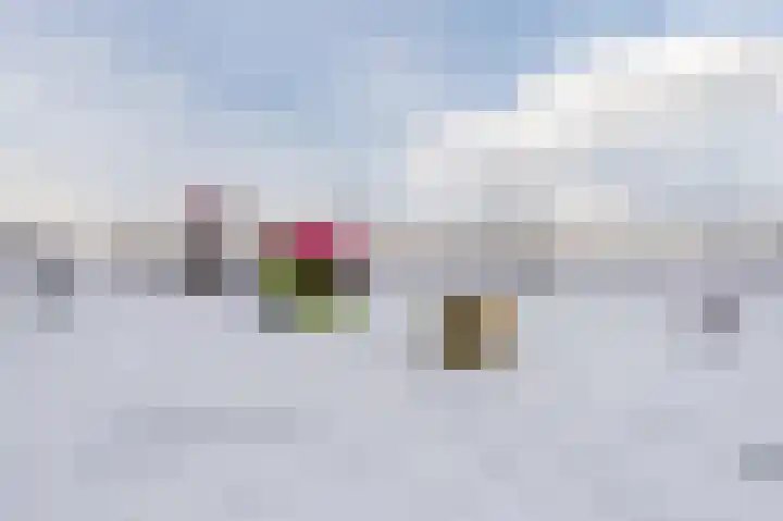 Honingklaver 8 Valkenburg thumbnail 45