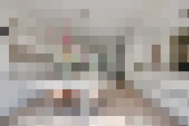 Honingklaverstraat 3 's-Hertogenbosch thumbnail 10