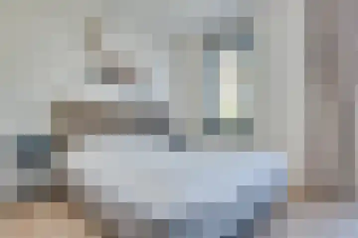 Honingklaverstraat 3 's-Hertogenbosch thumbnail 22