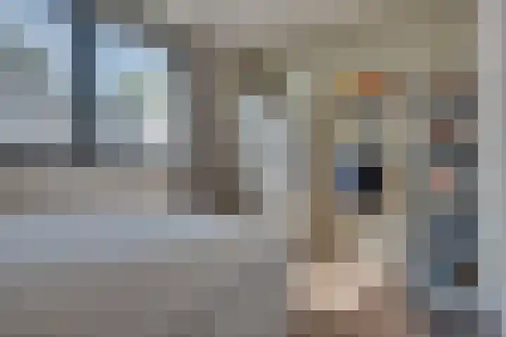 Honingklaverstraat 3 's-Hertogenbosch thumbnail 23