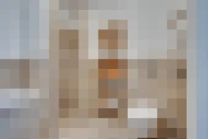 Honingklaverstraat 3 's-Hertogenbosch thumbnail 26