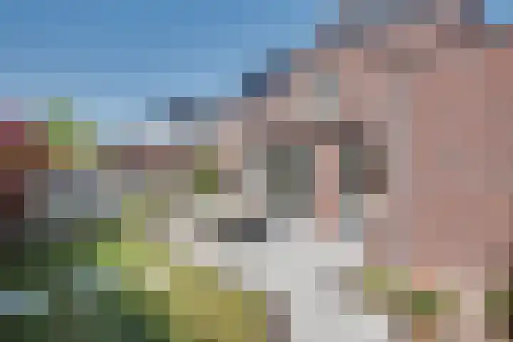 Honingklaverstraat 3 's-Hertogenbosch thumbnail 32