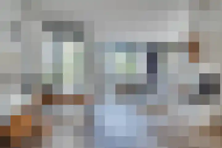 Honingklaverstraat 3 's-Hertogenbosch thumbnail 4