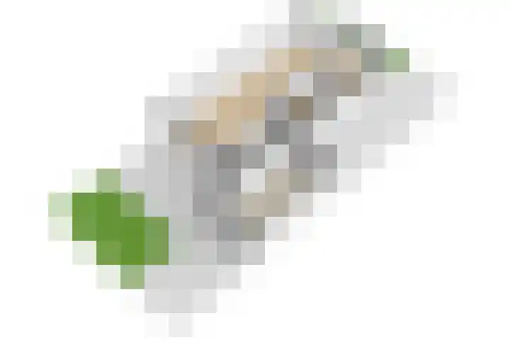 Honingklaverstraat 3 's-Hertogenbosch thumbnail 40