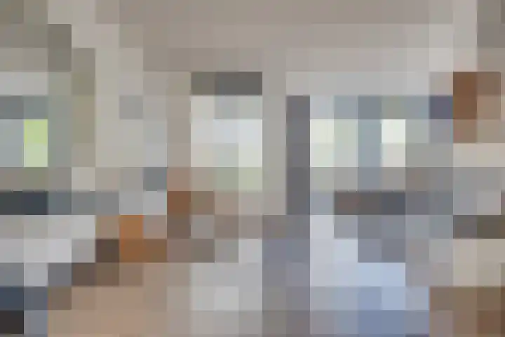 Honingklaverstraat 3 's-Hertogenbosch thumbnail 6