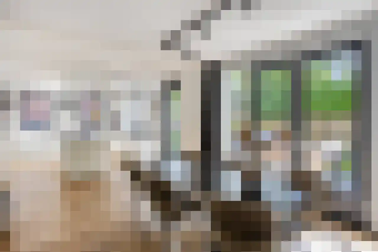 Honingklaverstraat 5 's-Hertogenbosch thumbnail 12