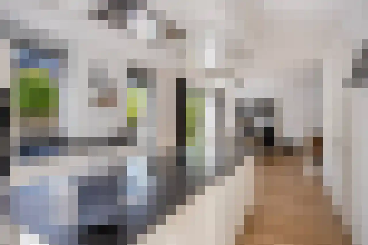 Honingklaverstraat 5 's-Hertogenbosch thumbnail 16