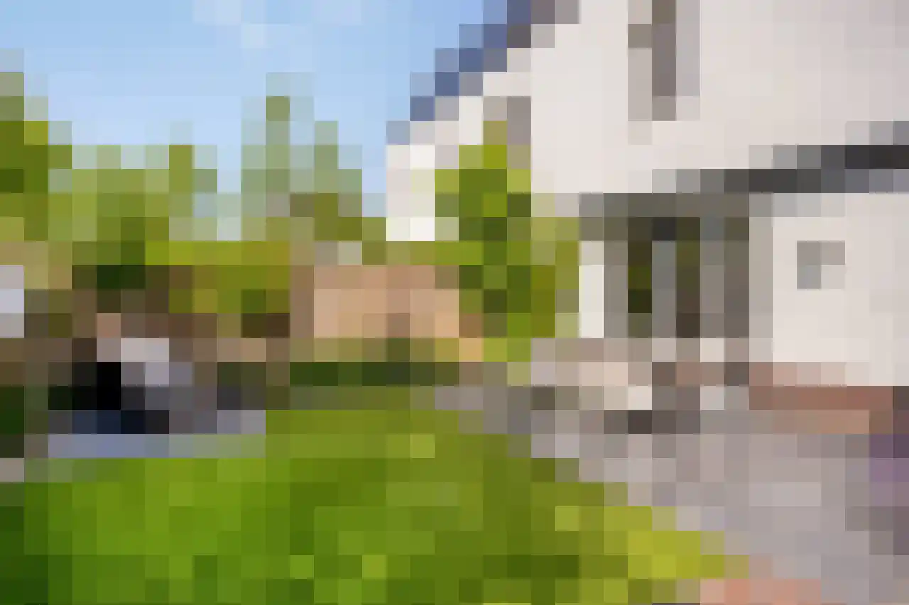 Honingklaverstraat 5 's-Hertogenbosch thumbnail 41
