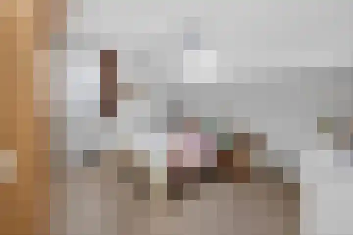 Honingraat 11 Eerbeek thumbnail 14