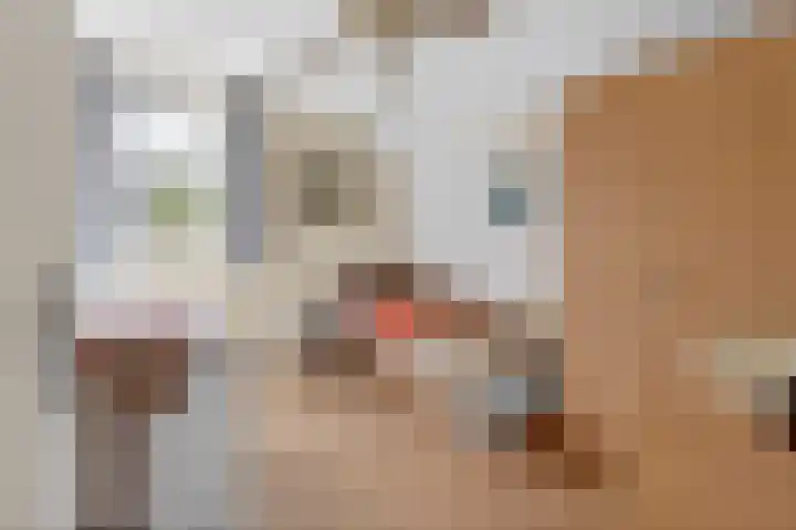 Honingraat 11 Eerbeek thumbnail 15