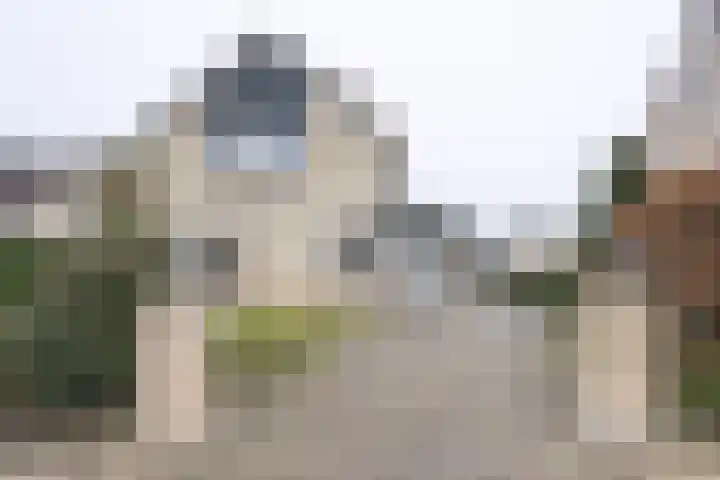 Honingraat 11 Eerbeek thumbnail 20