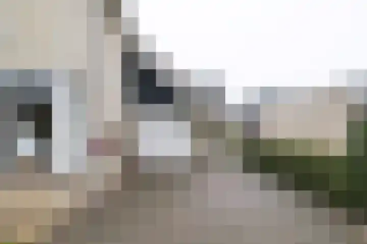 Honingraat 11 Eerbeek thumbnail 21