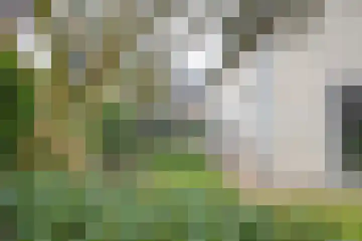 Honingraat 11 Eerbeek thumbnail 24