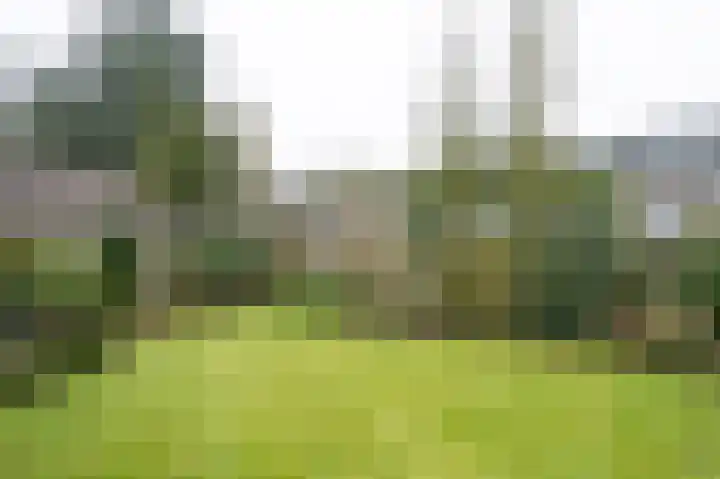 Honingraat 11 Eerbeek thumbnail 26
