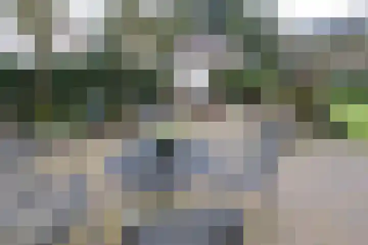 Honingraat 11 Eerbeek thumbnail 29
