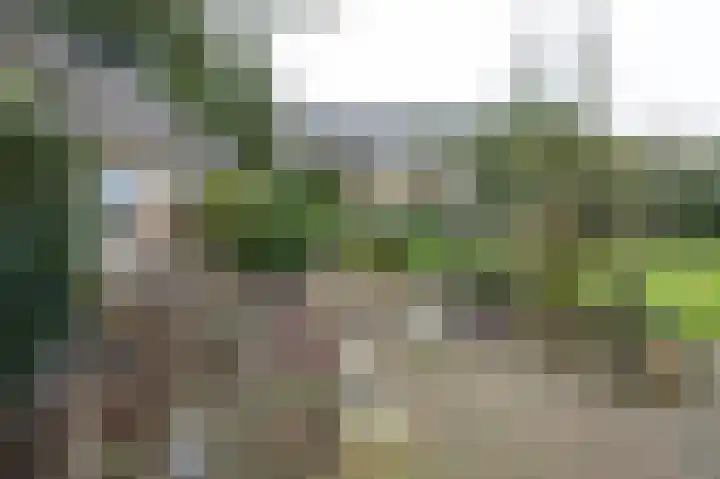 Honingraat 11 Eerbeek thumbnail 30