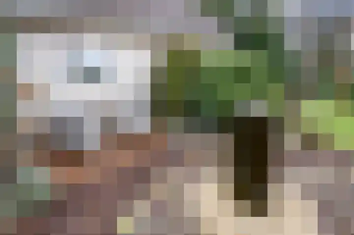 Honingraat 11 Eerbeek thumbnail 31