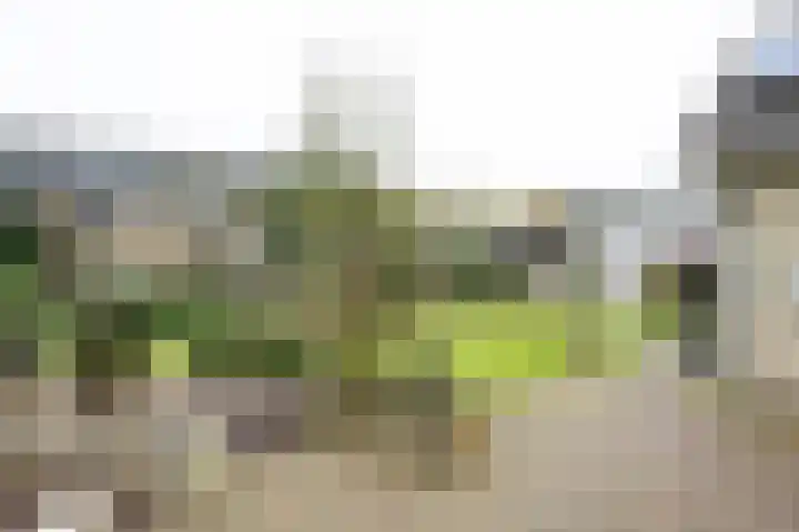 Honingraat 11 Eerbeek thumbnail 32