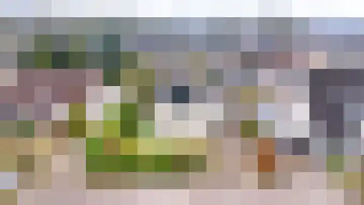 Honingraat 11 Eerbeek thumbnail 33