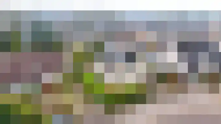 Honingraat 11 Eerbeek thumbnail 34