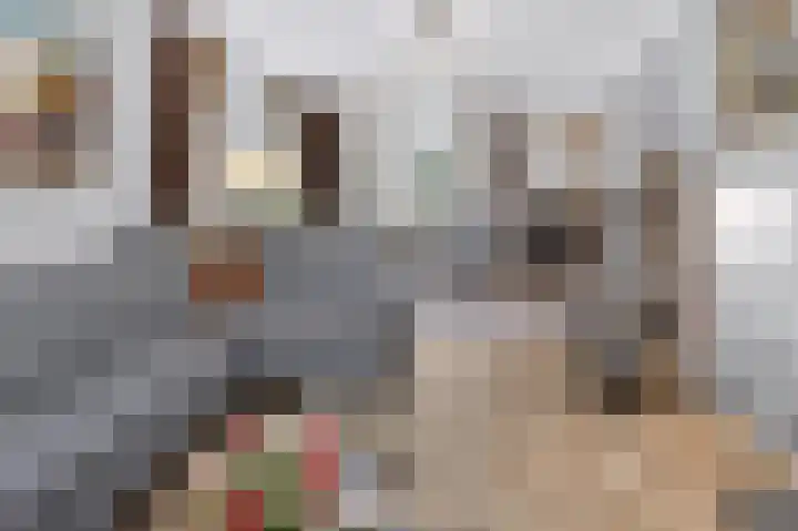 Honingraat 11 Eerbeek thumbnail 4