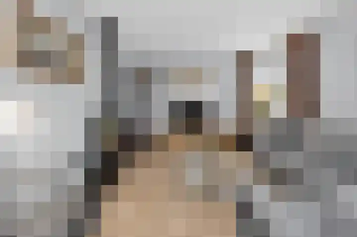 Honingraat 11 Eerbeek thumbnail 6