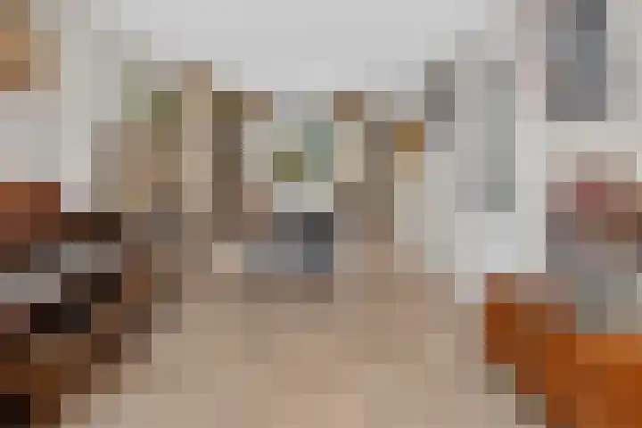 Honingraat 11 Eerbeek thumbnail 8