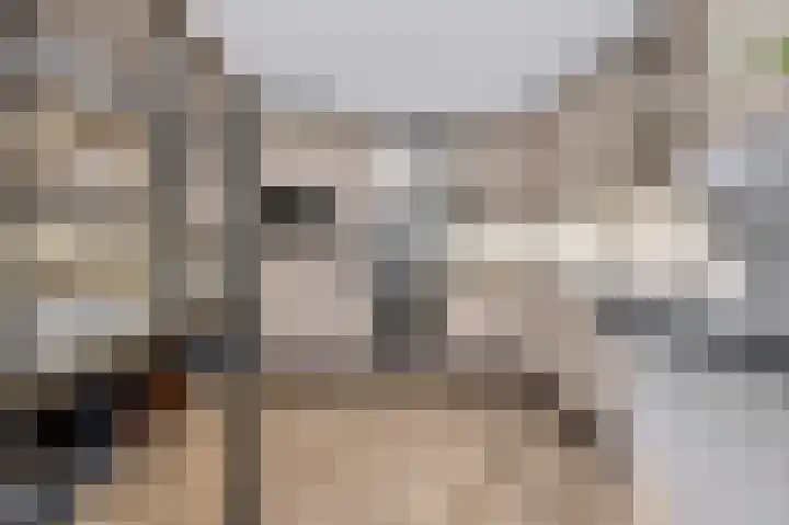 Honingraat 11 Eerbeek thumbnail 9