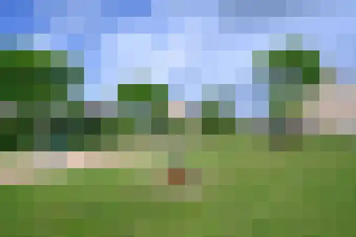 Honingraat 27 Eerbeek thumbnail 23