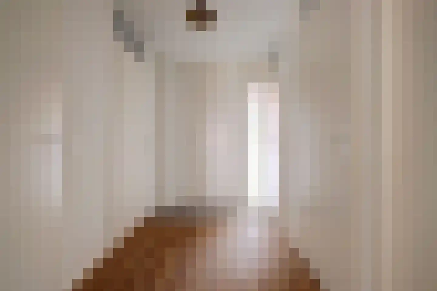 Honingraat 31 Leersum thumbnail 11