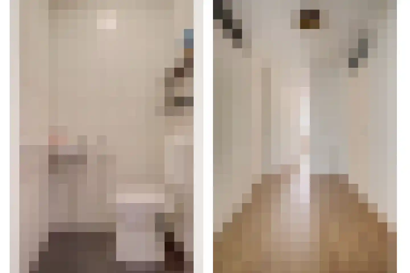 Honingraat 31 Leersum thumbnail 12
