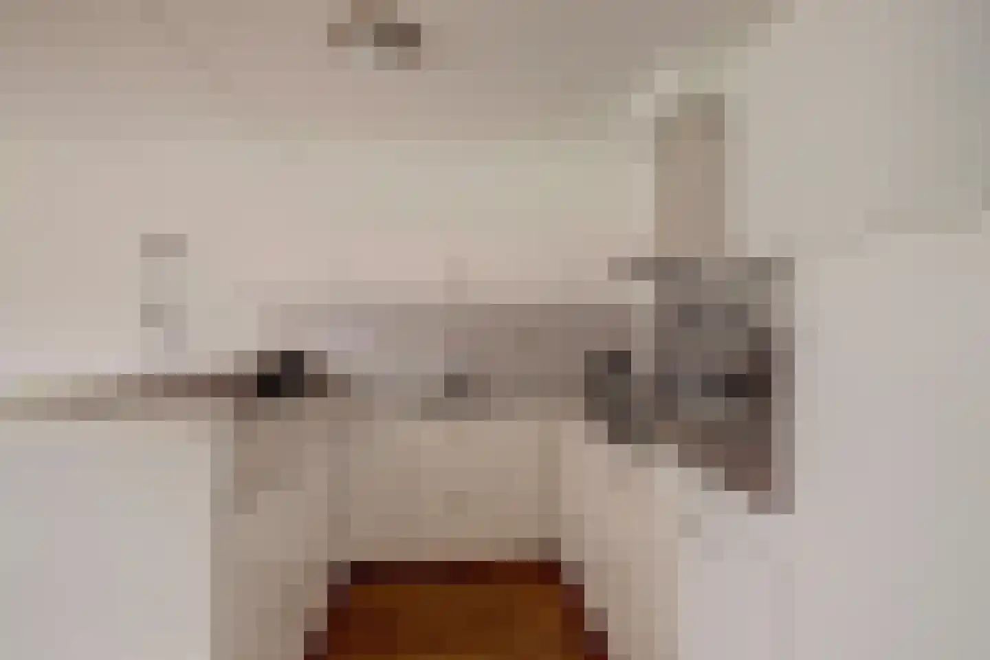 Honingraat 31 Leersum thumbnail 19