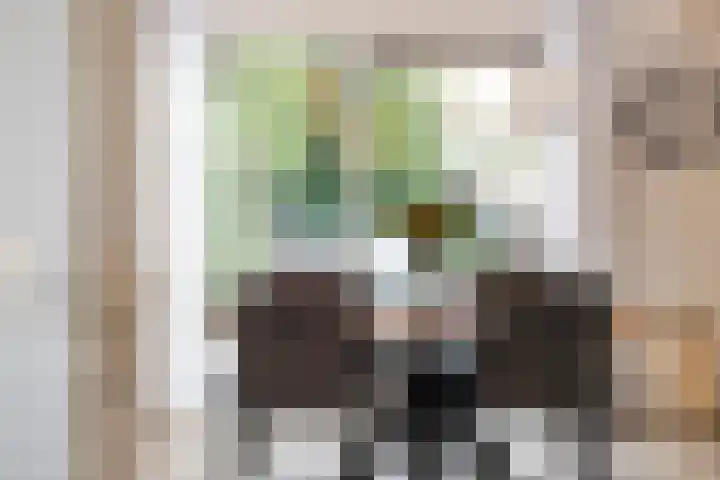 Honingraat 39 Eerbeek thumbnail 11