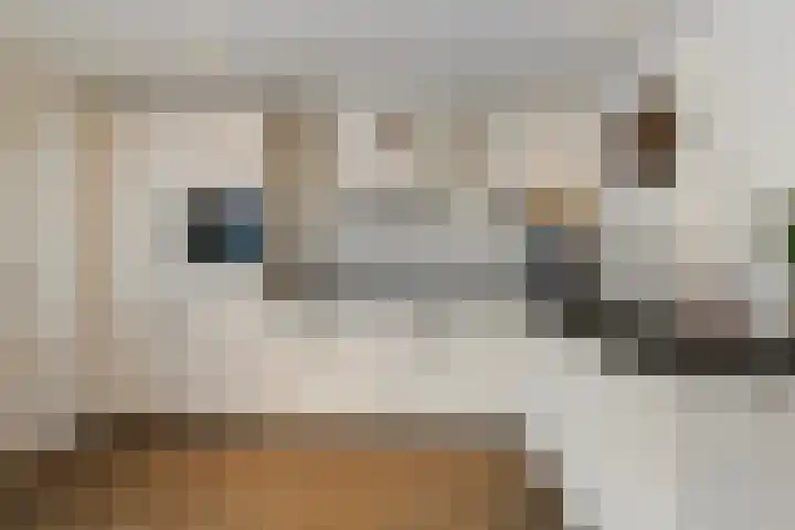 Honingraat 39 Eerbeek thumbnail 13