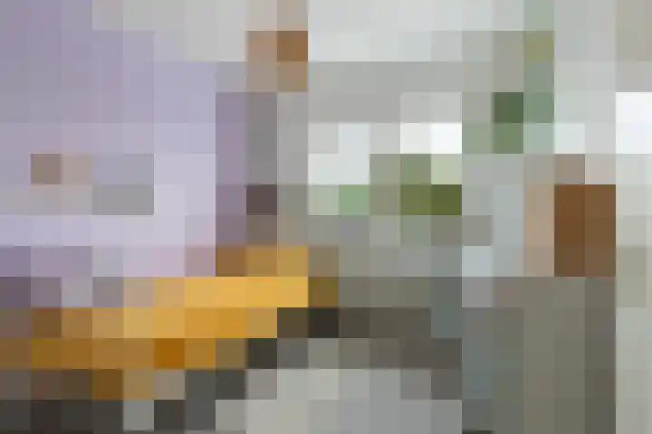 Honingraat 39 Eerbeek thumbnail 22