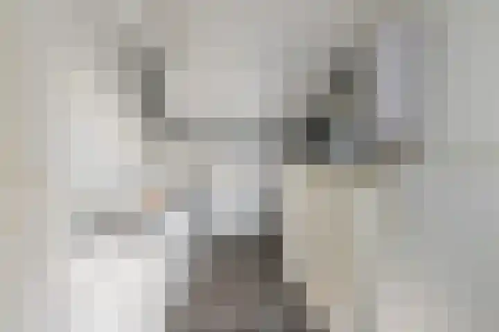 Honingraat 39 Eerbeek thumbnail 26