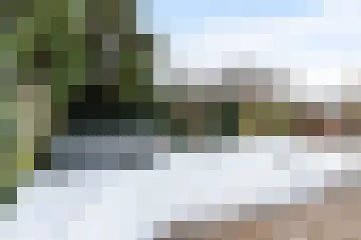 Honingraat 39 Eerbeek thumbnail 31