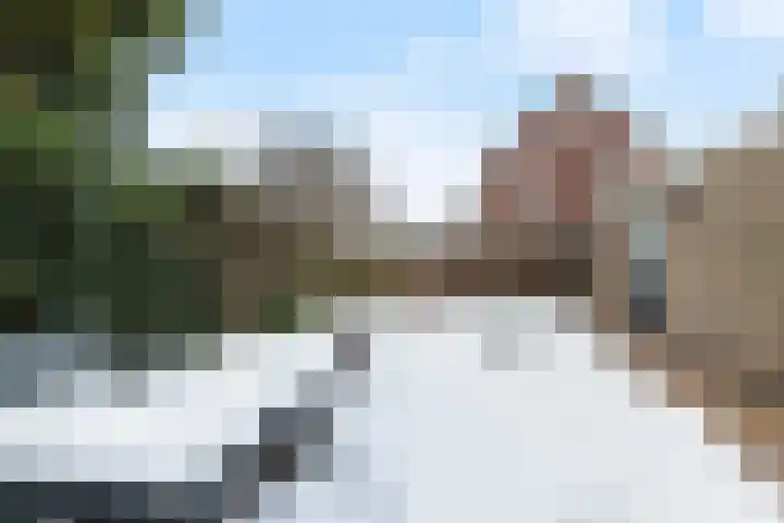 Honingraat 39 Eerbeek thumbnail 32