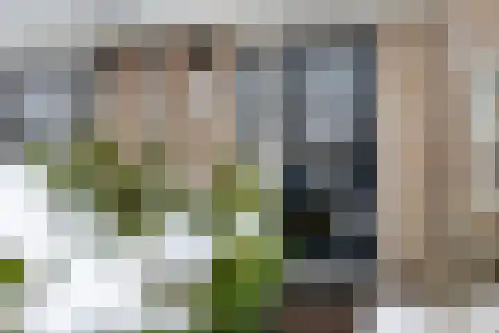 Honingraat 39 Eerbeek thumbnail 35