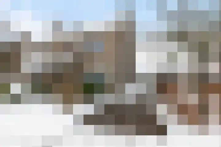 Honingraat 39 Eerbeek thumbnail 37